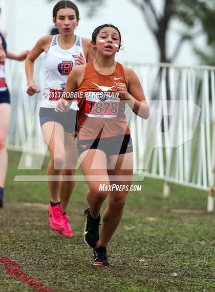 Thumbnail 1 in UIL Cross Country 6A Finals (5K) photogallery.
