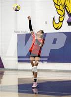 Photo from the gallery "Hart @ Valencia"