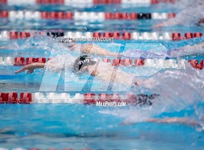 Thumbnail 3 in CHSAA 4A Swim Championships photogallery.