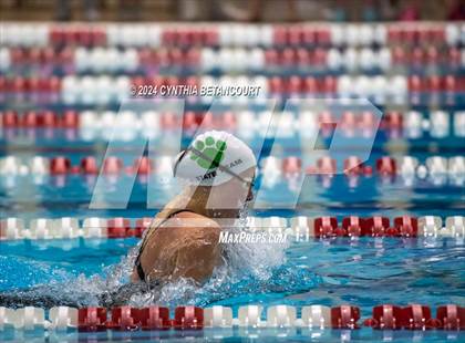 Thumbnail 2 in CHSAA 4A Swim Championships photogallery.
