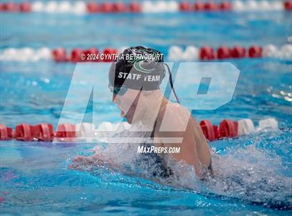 Thumbnail 3 in CHSAA 4A Swim Championships photogallery.