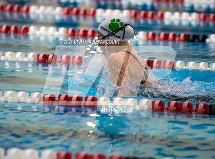 Thumbnail 2 in CHSAA 4A Swim Championships photogallery.