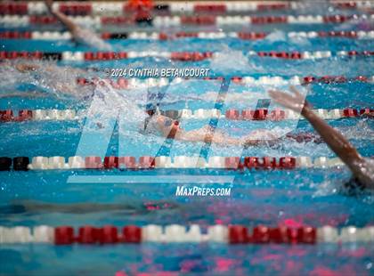 Thumbnail 1 in CHSAA 4A Swim Championships photogallery.