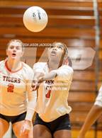 Photo from the gallery "Overhills @ South View"