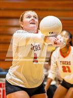 Photo from the gallery "Overhills @ South View"