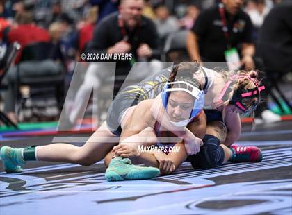 Thumbnail 2 in CHSAA State 5A Semifinals (3rd & 5th) photogallery.