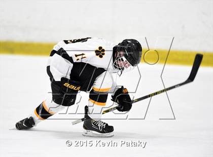 Thumbnail 2 in Conard @ Daniel Hand photogallery.