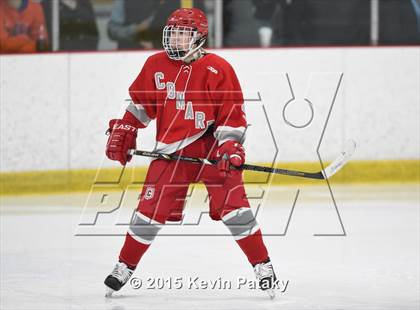 Thumbnail 1 in Conard @ Daniel Hand photogallery.