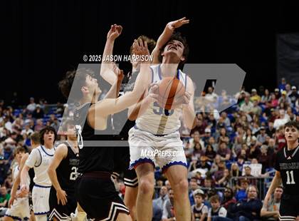 Thumbnail 3 in Martinsville vs. Lipan (UIL Basketball 2A D2 Final) photogallery.