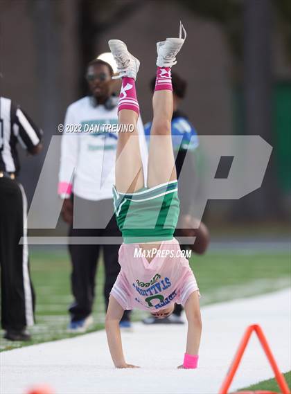 Thumbnail 1 in Kempsville @ Green Run photogallery.