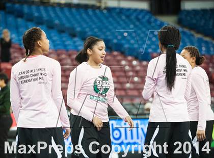 Thumbnail 3 in Archbishop Mitty vs. McNair (CIF NorCal Regional D2 Final) photogallery.