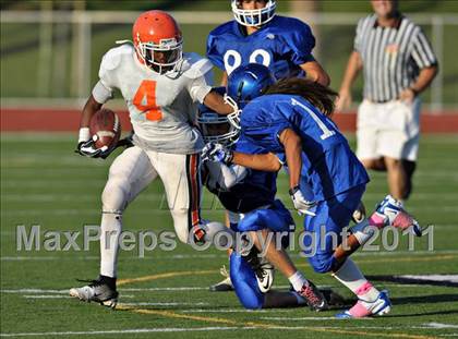 Thumbnail 2 in Poly @ Norco photogallery.