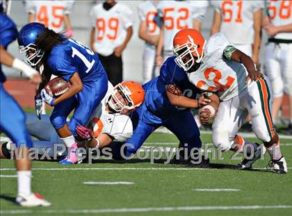 Thumbnail 3 in Poly @ Norco photogallery.
