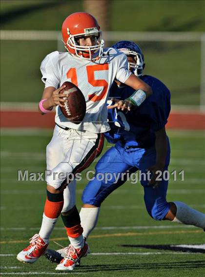 Thumbnail 1 in Poly @ Norco photogallery.