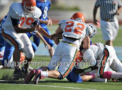 Thumbnail 3 in Poly @ Norco photogallery.