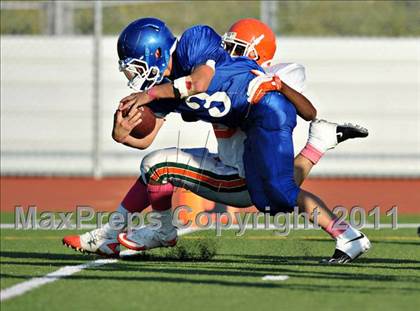 Thumbnail 1 in Poly @ Norco photogallery.
