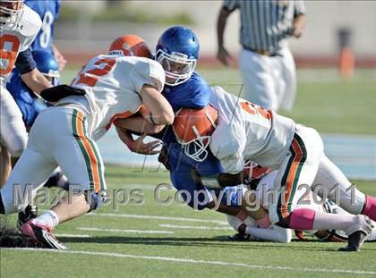 Thumbnail 2 in Poly @ Norco photogallery.