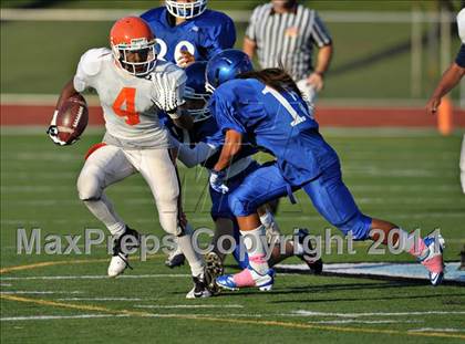 Thumbnail 1 in Poly @ Norco photogallery.