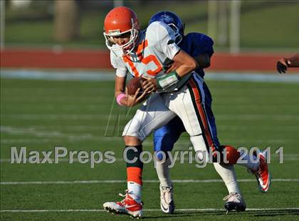 Thumbnail 2 in Poly @ Norco photogallery.