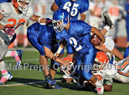 Thumbnail 1 in Poly @ Norco photogallery.