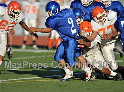 Thumbnail 2 in Poly @ Norco photogallery.