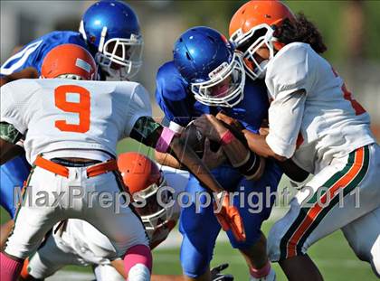 Thumbnail 2 in Poly @ Norco photogallery.