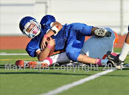 Thumbnail 1 in Poly @ Norco photogallery.