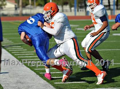 Thumbnail 3 in Poly @ Norco photogallery.