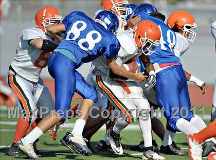 Thumbnail 3 in Poly @ Norco photogallery.