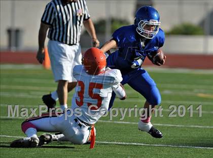 Thumbnail 1 in Poly @ Norco photogallery.