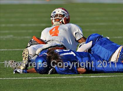 Thumbnail 3 in Poly @ Norco photogallery.