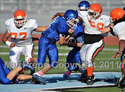 Thumbnail 1 in Poly @ Norco photogallery.