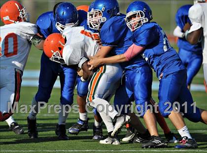 Thumbnail 3 in Poly @ Norco photogallery.