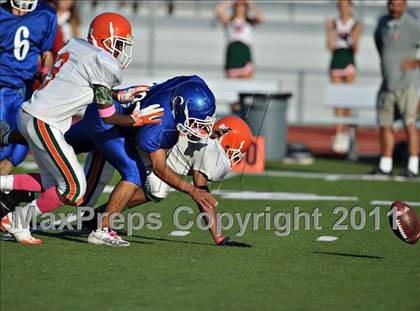 Thumbnail 1 in Poly @ Norco photogallery.