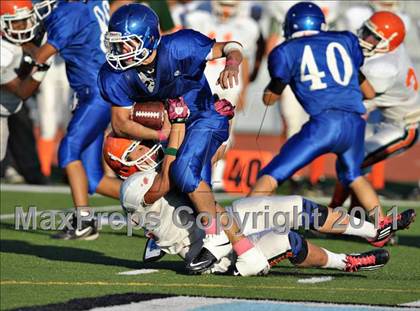 Thumbnail 1 in Poly @ Norco photogallery.