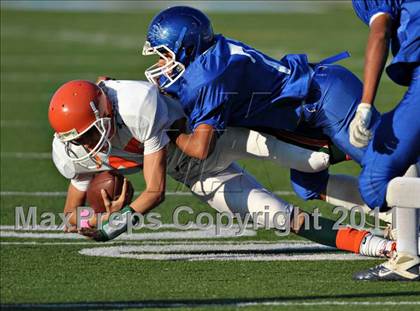 Thumbnail 2 in Poly @ Norco photogallery.