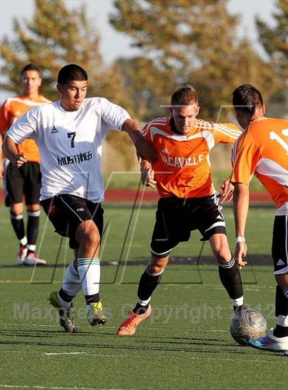 Thumbnail 3 in Vacaville @ Rodriguez photogallery.