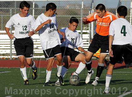 Thumbnail 1 in Vacaville @ Rodriguez photogallery.
