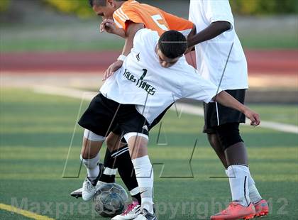 Thumbnail 1 in Vacaville @ Rodriguez photogallery.
