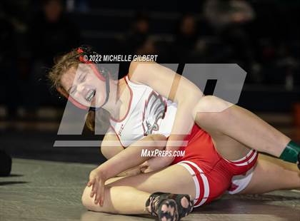 Thumbnail 1 in NY State Intersectional Girls Wrestling Championships Finals (1 of 2)  photogallery.