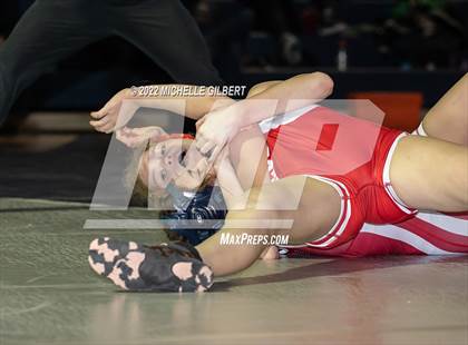Thumbnail 3 in NY State Intersectional Girls Wrestling Championships Finals (1 of 2)  photogallery.