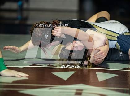Thumbnail 3 in NY State Intersectional Girls Wrestling Championships Finals (1 of 2)  photogallery.