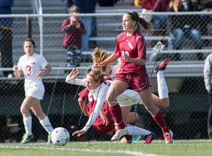 Thumbnail 1 in Toms River South vs Northern Highlands (NJSIAA Group 3 Final) photogallery.