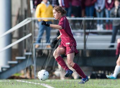 Thumbnail 1 in Toms River South vs Northern Highlands (NJSIAA Group 3 Final) photogallery.