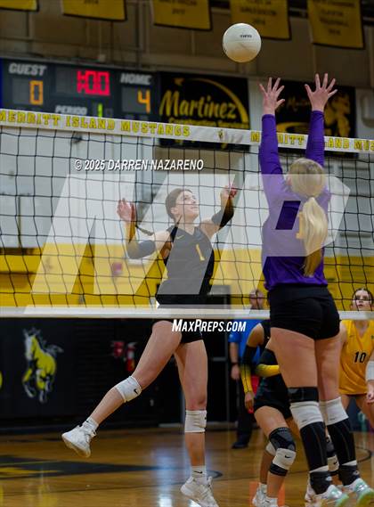 Thumbnail 1 in Hernando @ Merritt Island photogallery.