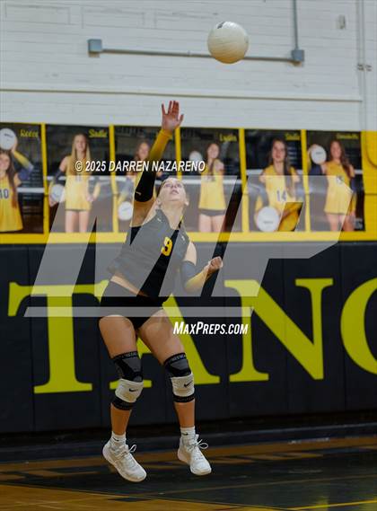 Thumbnail 2 in Hernando @ Merritt Island photogallery.