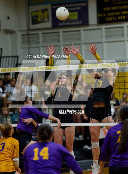 Thumbnail 3 in Hernando @ Merritt Island photogallery.