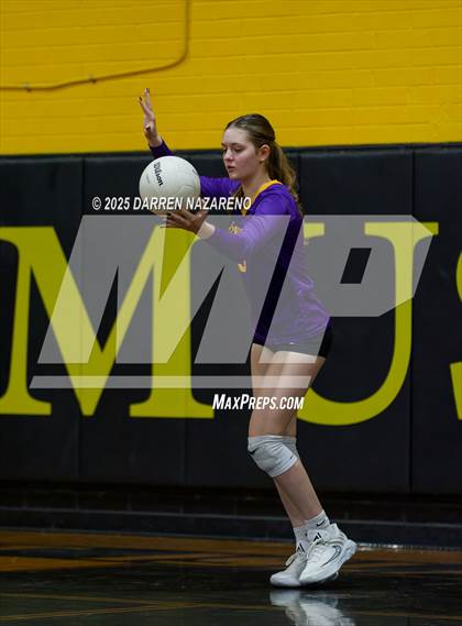 Thumbnail 1 in Hernando @ Merritt Island photogallery.
