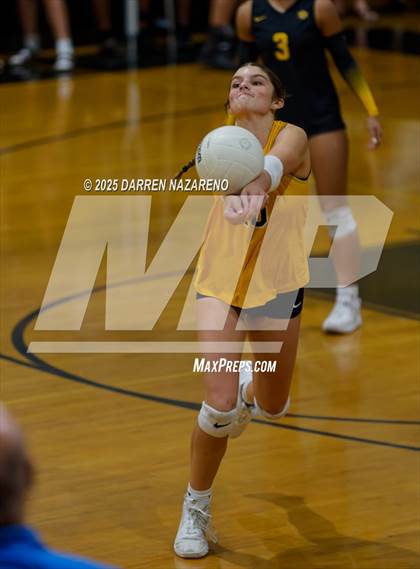 Thumbnail 3 in Hernando @ Merritt Island photogallery.