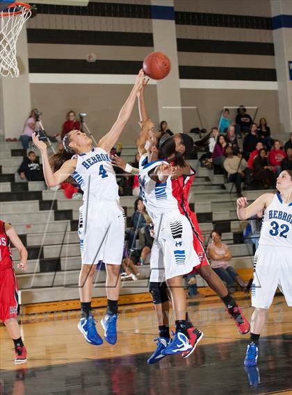 Thumbnail 1 in Marcus @ Hebron photogallery.